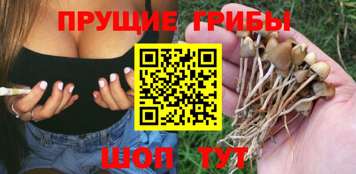 Псилоцибиновые грибы Psilocybe  Вход с VPN  Галлюциногенные грибы прущие грибы  Белгород 
